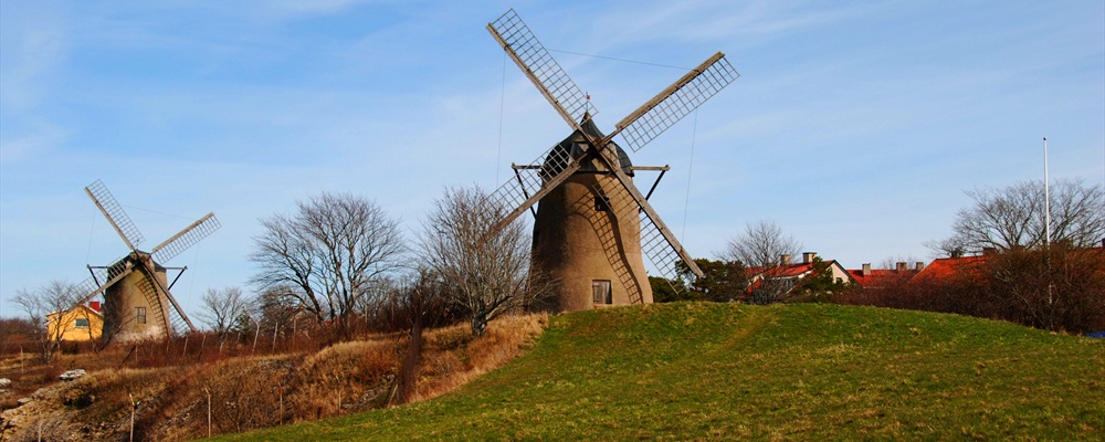 Where's Don Quioxte?